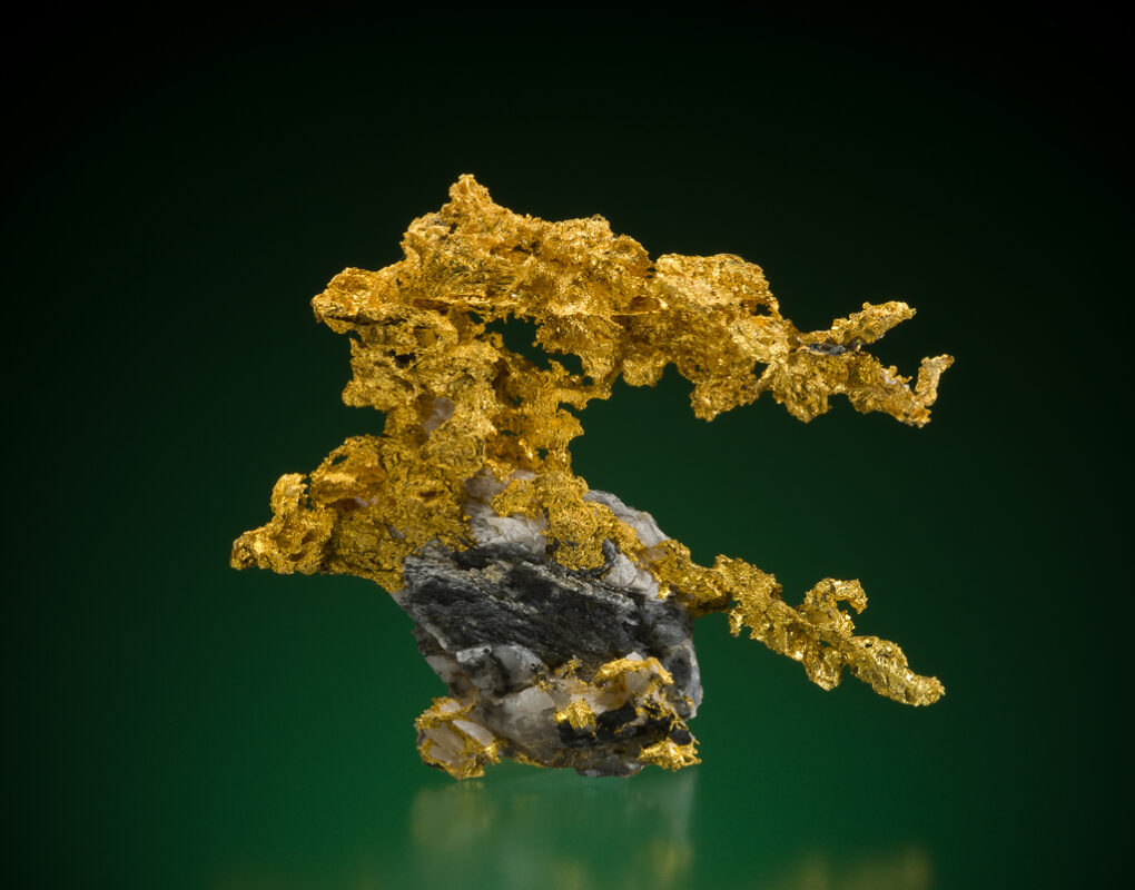 Gold-Tangier-Mine-NS 6cm wide Gold-Tangier-Mine-NS