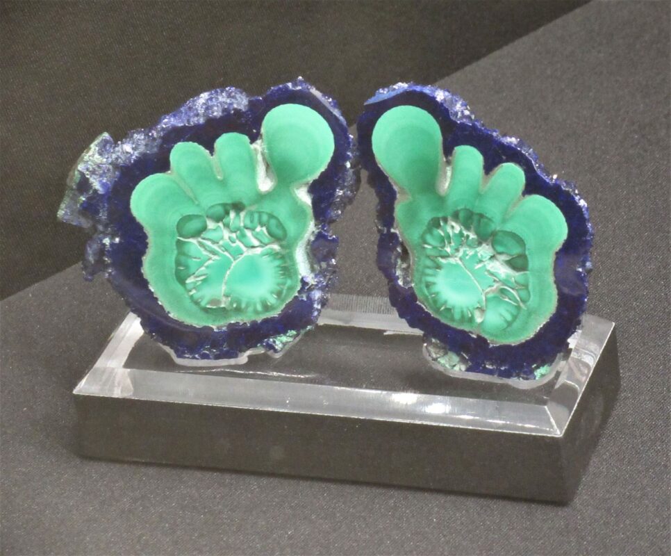 Happy Feet Sliced and Polished Azurite and Malachite, China Displayed at Tucson 2020 Happy Feet Sliced and Polished Azurite and Malachite, China Displayed at Tucson 2020