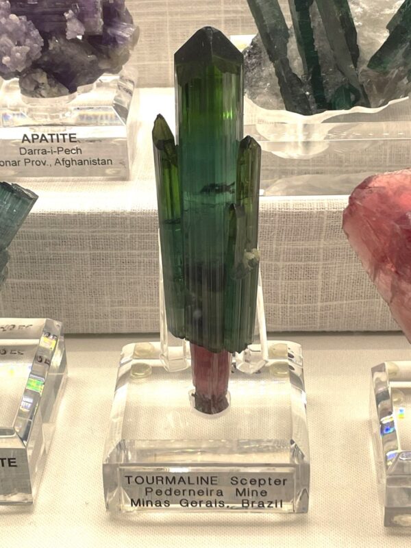 Tourmaline on Display at the 2024 Tucson Gem and Mineral show Tourmaline on Display at the 2024 Tucson Gem and Mineral show