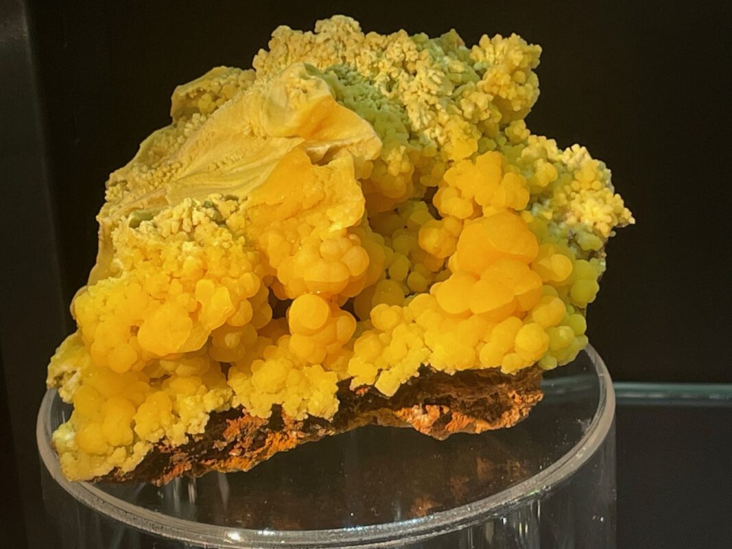 A superb yellow mimetite from the Ojuela Mine in Mexico at Well Arranged Molecules’ room