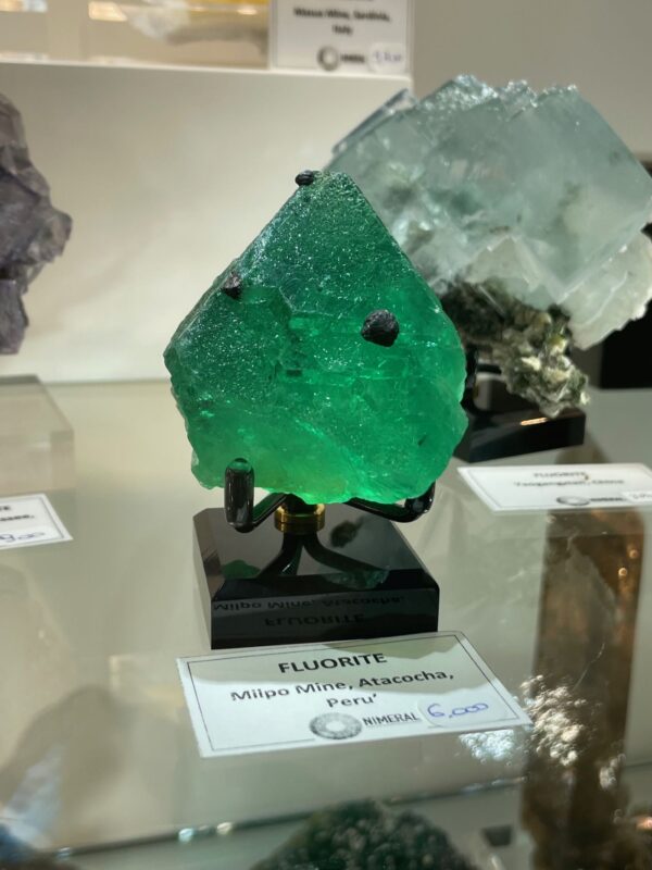 Peruvian green fluorite, renowned for their great colour Tucson 2025 Peruvian green fluorite, renowned for their great colour Tucson 2025