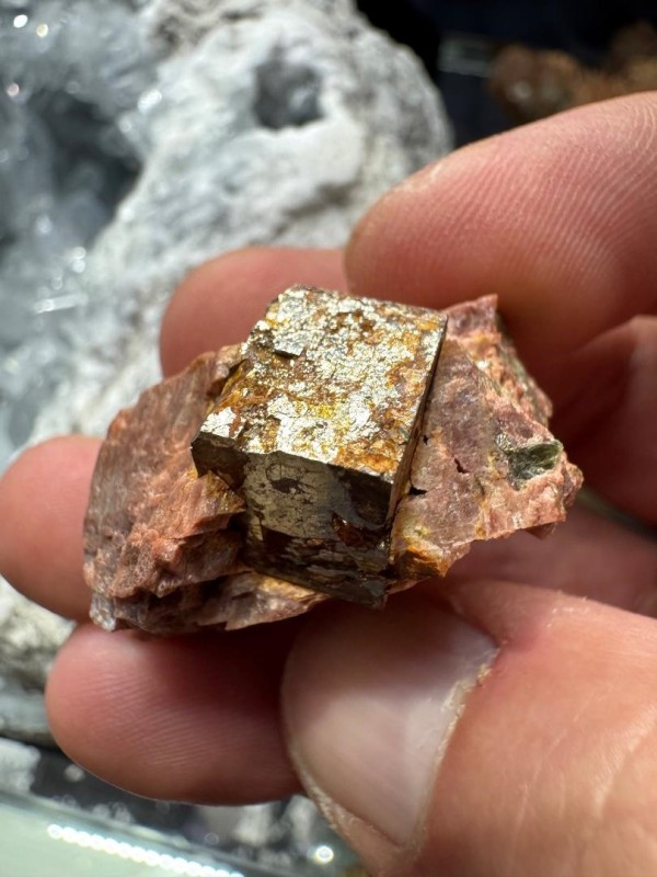 Beryl Pit Pyrite Cube in Microcline May 2025 Beryl Pit Pyrite Cube in Microcline May 2025