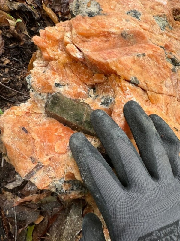 Yates Mine Apatite in Calcite May 2025 Yates Mine Apatite in Calcite May 2025