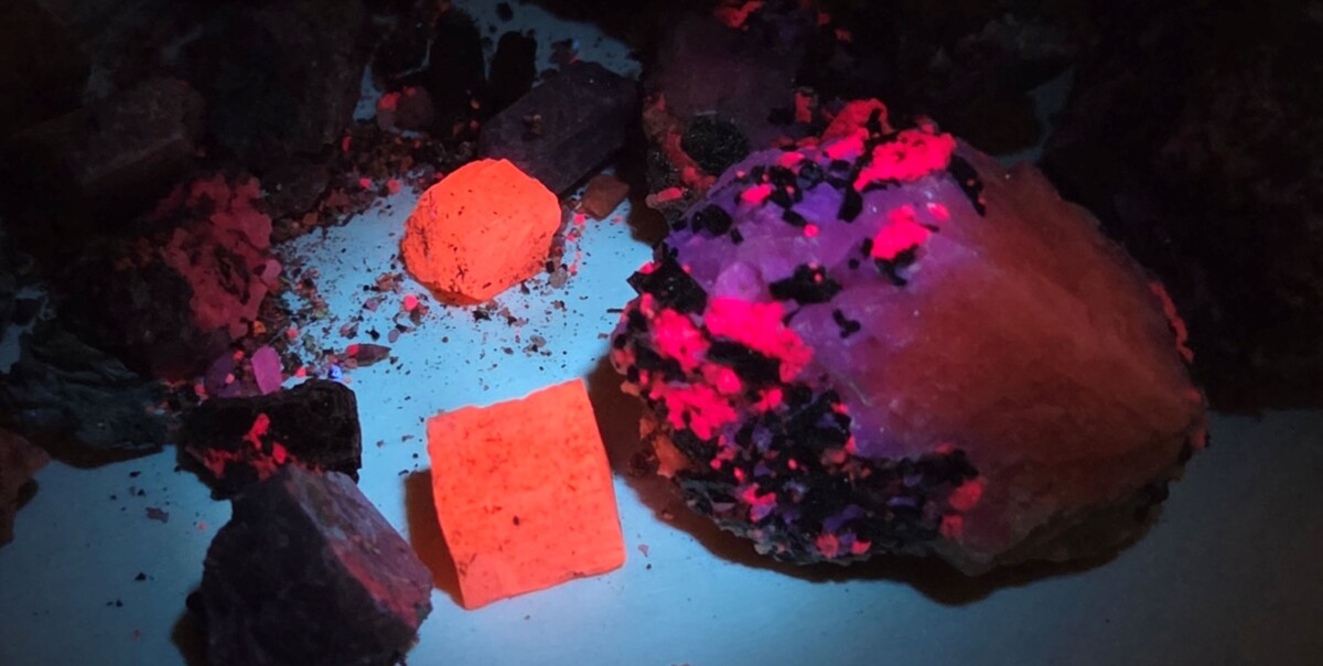Fluorescent minerals glowing in orange and pink hues on a rocky surface under UV light, with rough, jagged edges and scattered fragments.