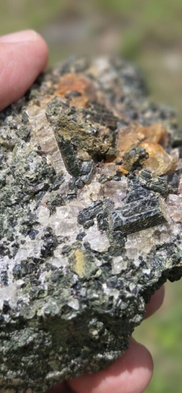 Close-up of a mineral rock with dark green, blade-like crystals embedded in lighter host material, held between fingertips.
